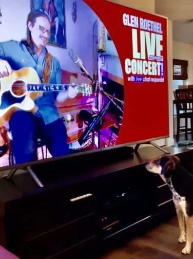 You ain't nothin' but a hound dog, baby ;-) (The real theme seems to be "pet sounds!")